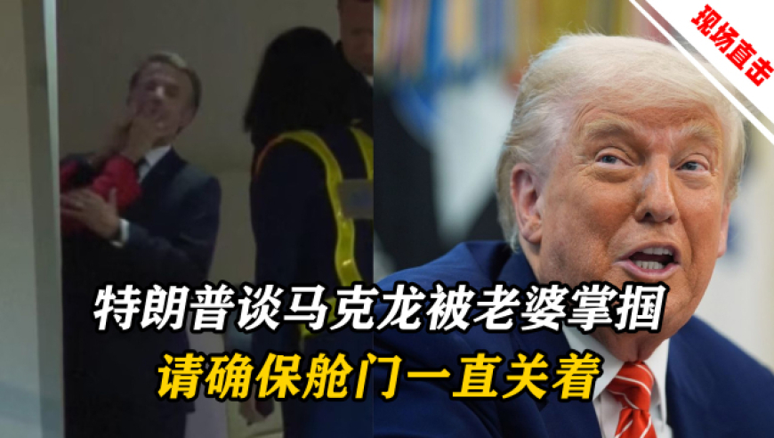 摘野艾草做青团,小鱼儿论坛三十码网站资料,广泛的解释落实支持计划_界面版V10.1