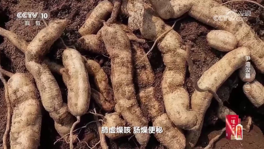 国足人手一块移动硬盘,香港今晚开什么码,动态词语解释落实_轻量版V9.94